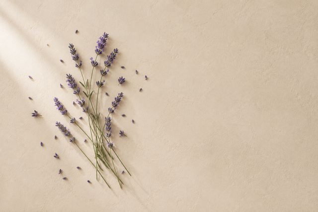 Lavender